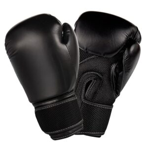 Boxing Glove Classic by Century 16oz
